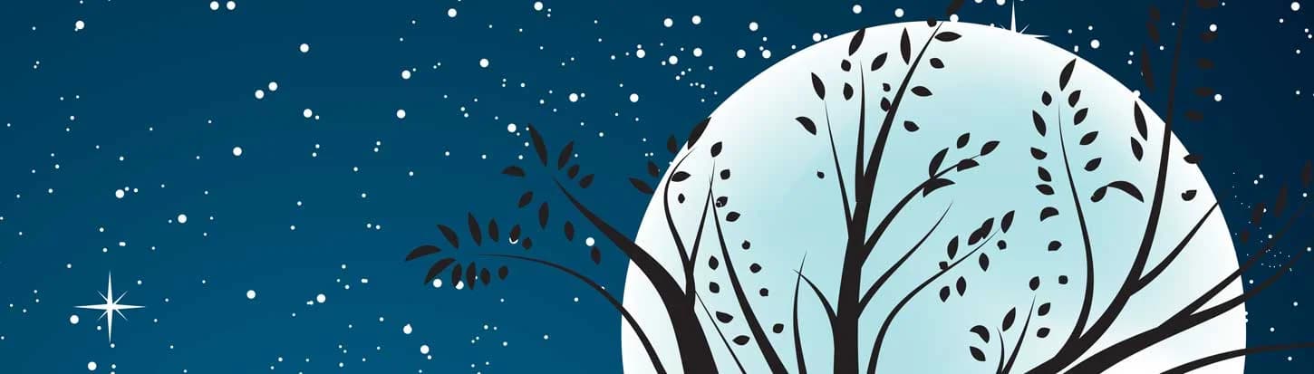 Apple's iPad/iPhone Out-of-Warranty Service