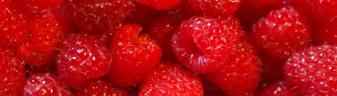 Raspberry Pi Tips & Tricks